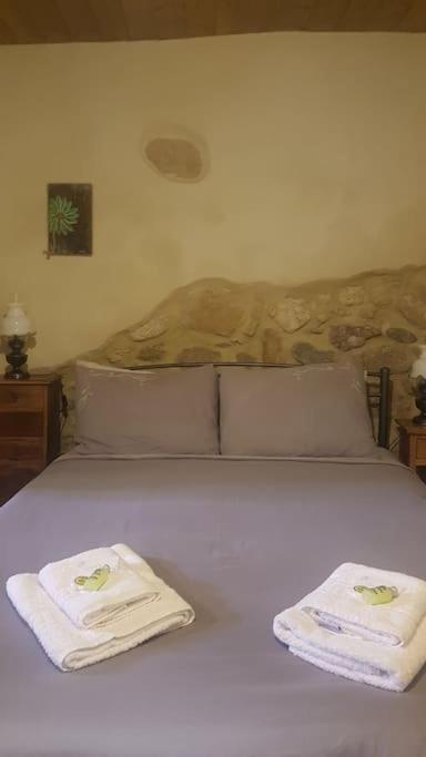 Casa Opuntia