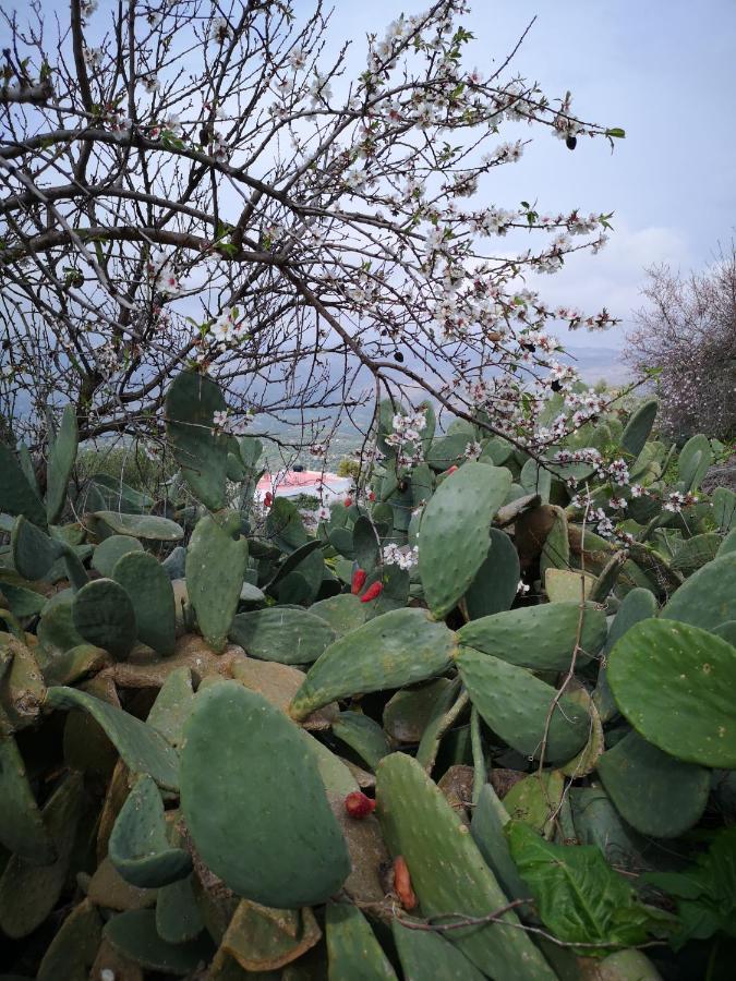Holiday home Casa Opuntia Pappaygiannades