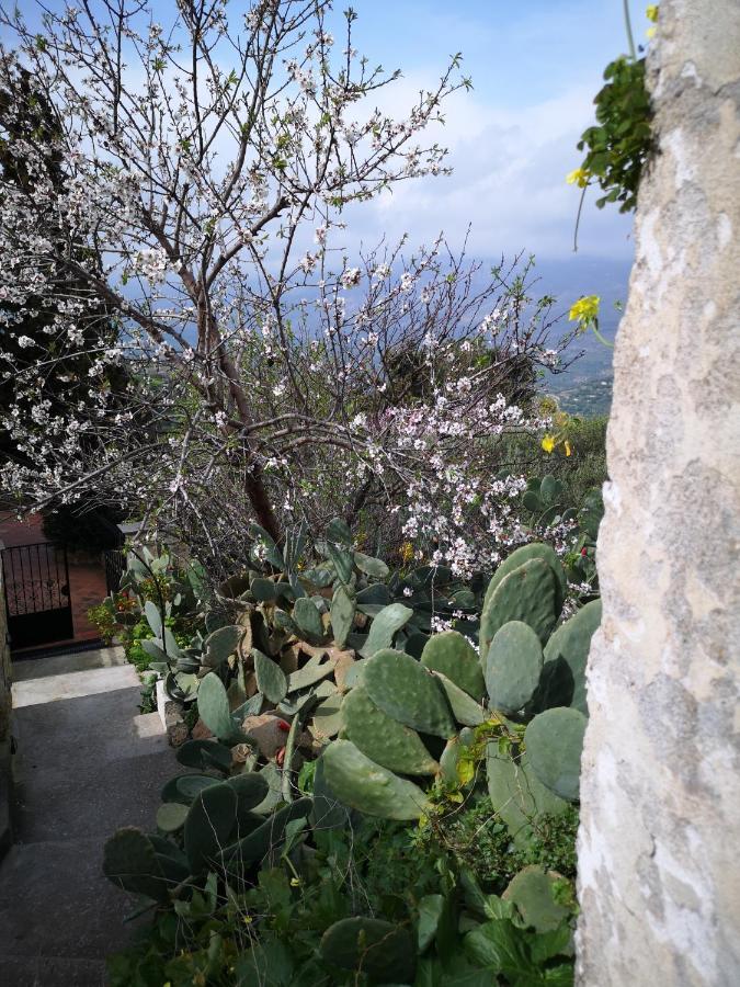 Casa Opuntia Pappaygiannades
