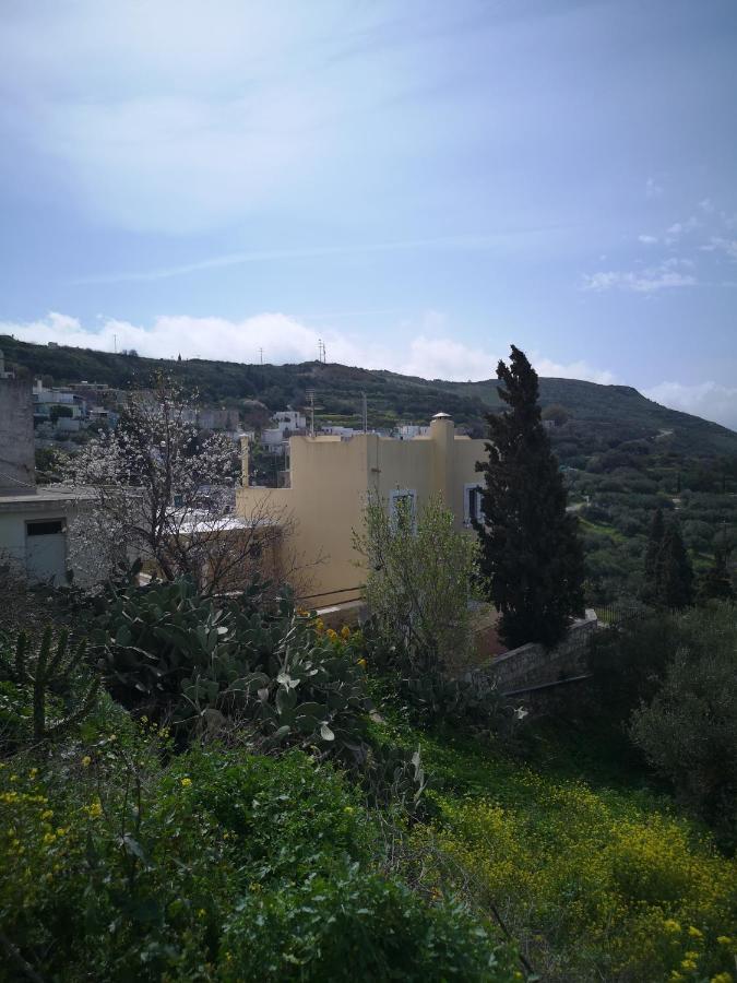 Casa Opuntia Pappaygiannades